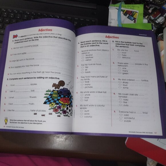 3RD GRADE SCHOLASTIC WORKBOOK -- NEW -- ALL SUBJECTS--#22 - Picture 4 of 5